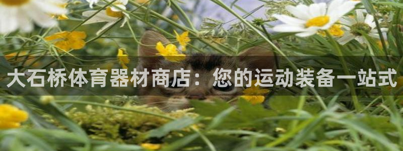 耀世平台总代理电话：大石桥体育器材商店：您的运动装备