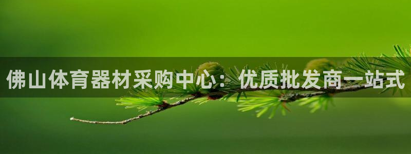 耀世集团商业联盟怎么样：佛山体育器材采购中心：优质批