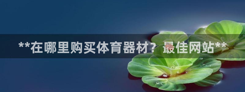 耀世集团商业联盟罗文斌：**在哪里购买体育器材？最佳