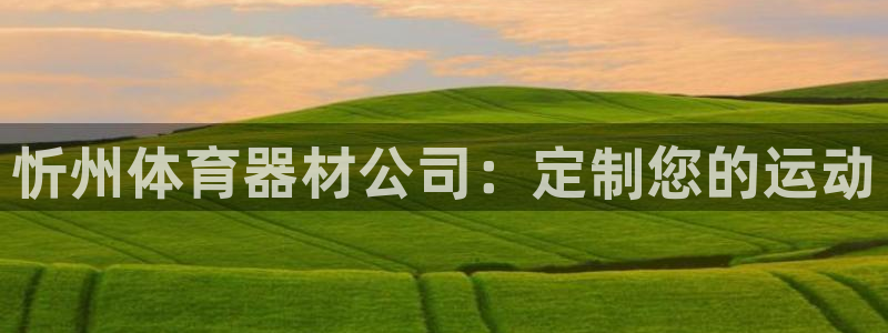 耀世娱乐辅助：忻州体育器材公司：定制您的运动