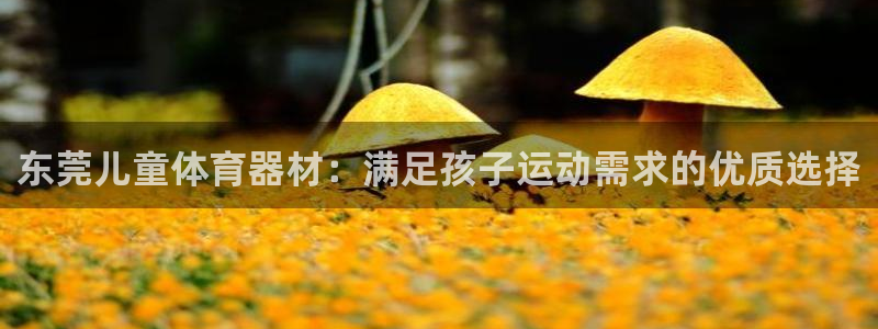 耀世平台是黑台子吗：东莞儿童体育器材：满足孩子运动需