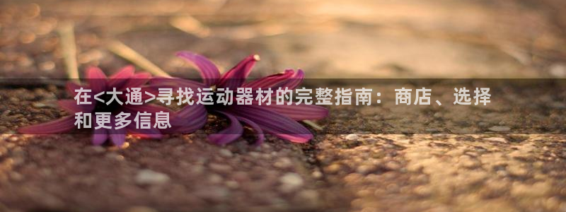 耀世平台代理多少钱：在<大通>寻找运动器材的完整指南