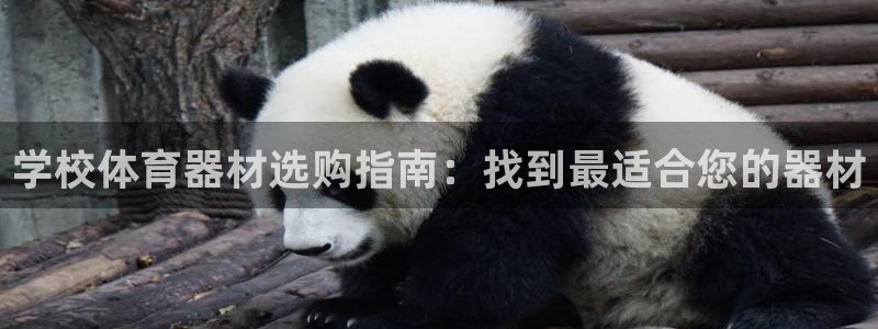 耀世娱乐app下载安装最新版：学校体育器材选购指南：