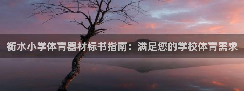 耀世娱乐怎么样：衡水小学体育器材标书指南：满足您的学