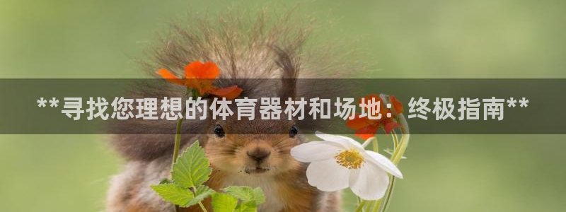 耀世集团做什么的：**寻找您理想的体育器材和场地：终