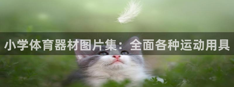 耀世雷霆下载：小学体育器材图片集：全面各种运动用具