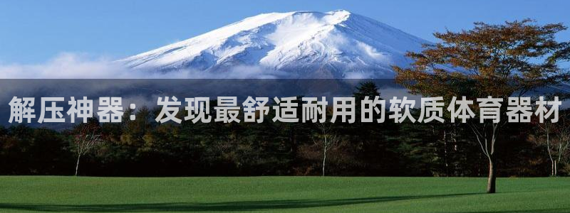 耀世平台哪个彩种是公平彩中的：解压神器：发现最舒适耐