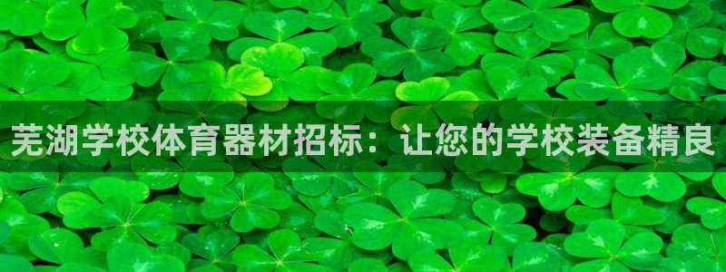 耀世娱乐挂机脚本下载：芜湖学校体育器材招标：让您的学