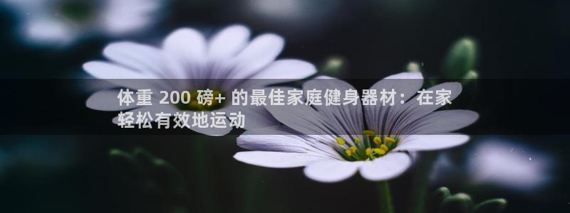 耀世登场的图片：体重 200 磅+ 的最佳家庭健身器