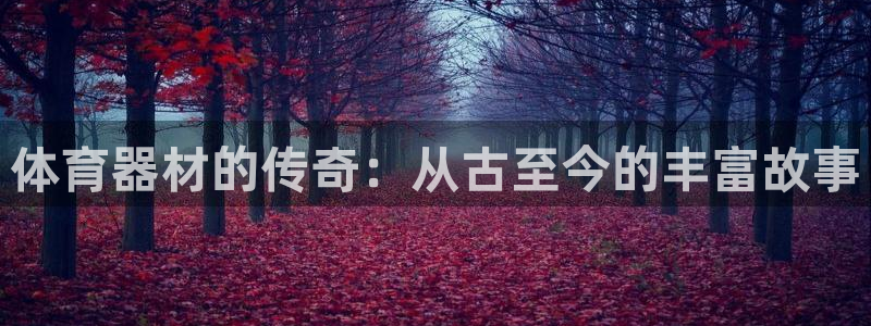 耀世平台注册流程图片：体育器材的传奇：从古至今的丰富