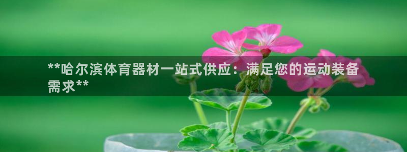 耀世娱乐升 5O6917 娱乐：**哈尔滨体育器材一