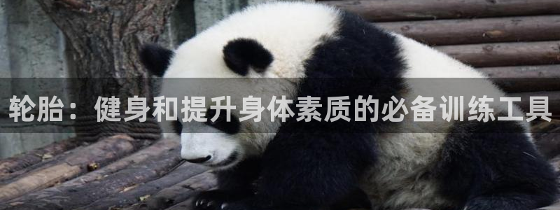 耀世平台推 411o31 耀世：轮胎：健身和提升身体