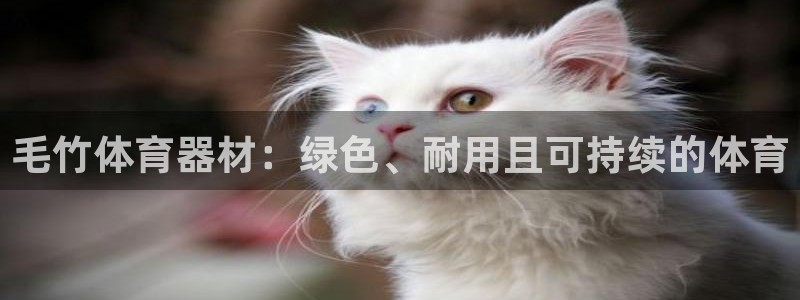 耀世平台登陆：毛竹体育器材：绿色、耐用且可持续的体育