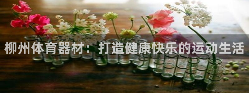 耀世集团公益：柳州体育器材：打造健康快乐的运动生活