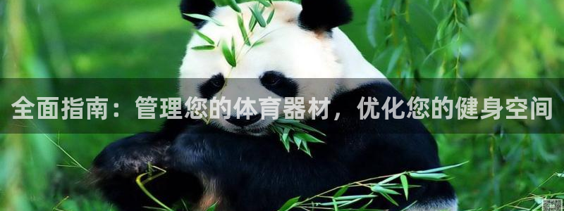 耀世登场的意思：全面指南：管理您的体育器材，优化您的