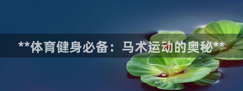 耀世集团视频直播怎么样：**体育健身必备：马术运动的