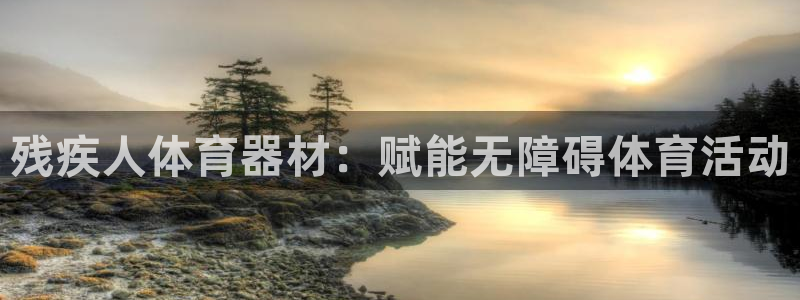 耀世兵权：残疾人体育器材：赋能无障碍体育活动