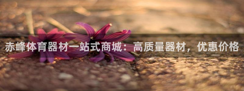 耀世意思是什么：赤峰体育器材一站式商城：高质量器材，