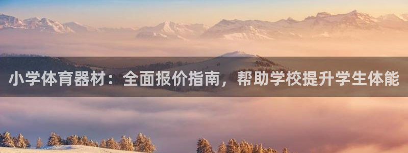 耀世娱乐挂机赚钱吗：小学体育器材：全面报价指南，帮助