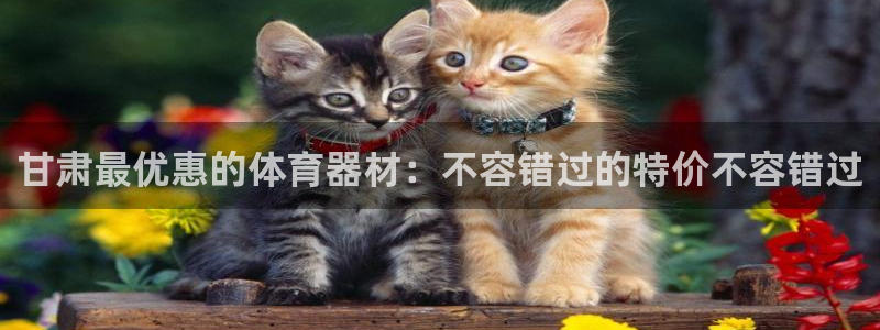 耀世辉煌：甘肃最优惠的体育器材：不容错过的特价不容错