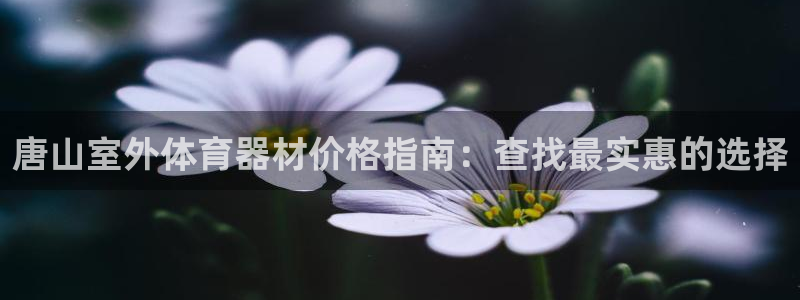 耀世开盘是什么意思：唐山室外体育器材价格指南：查找最