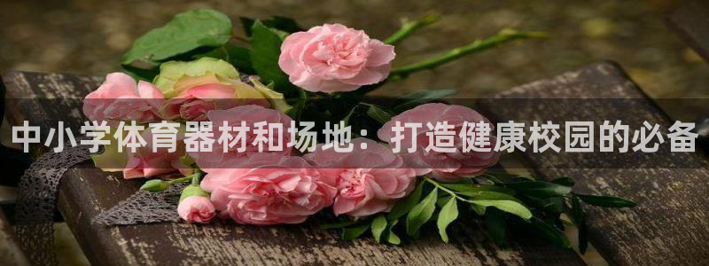 耀世娱乐注册资金多少：中小学体育器材和场地：打造健康