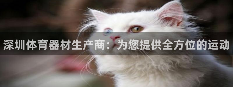 耀世平台必7O777：深圳体育器材生产商：为您提供全