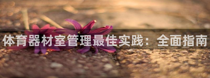 耀世是什么车：体育器材室管理最佳实践：全面指南