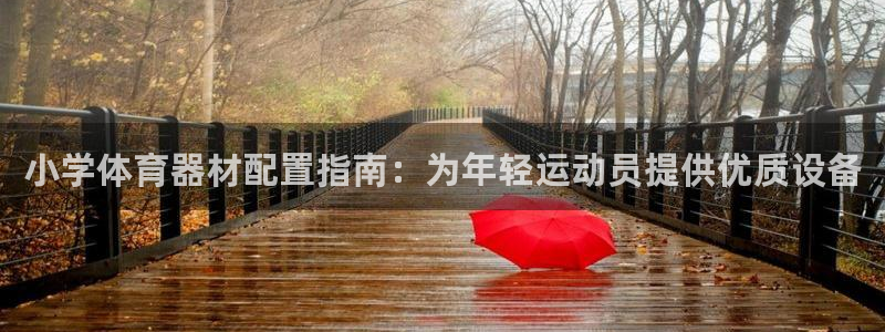 耀世娱乐如何登录平台：小学体育器材配置指南：为年轻运