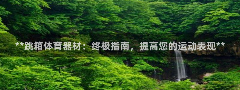 耀世集团商业联盟罗文斌：**跳箱体育器材：终极指南，