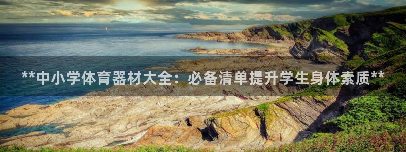 耀世平台注册登录不上怎么回事：**中小学体育器材大全