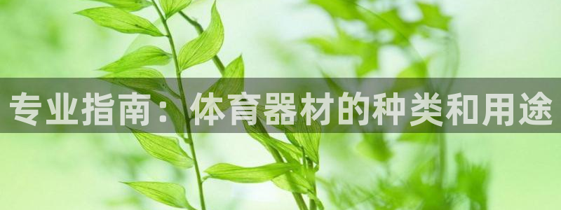 耀世娱乐总代：专业指南：体育器材的种类和用途
