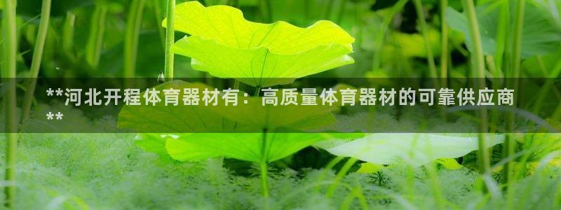 耀世集团视频介绍大全：**河北开程体育器材有：高质量