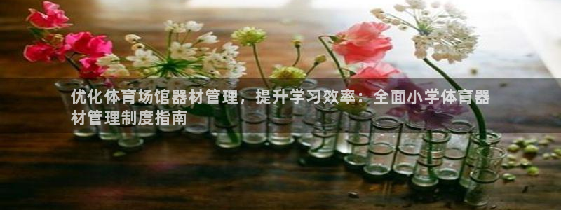 耀世娱乐网址是什么软件：优化体育场馆器材管理，提升学