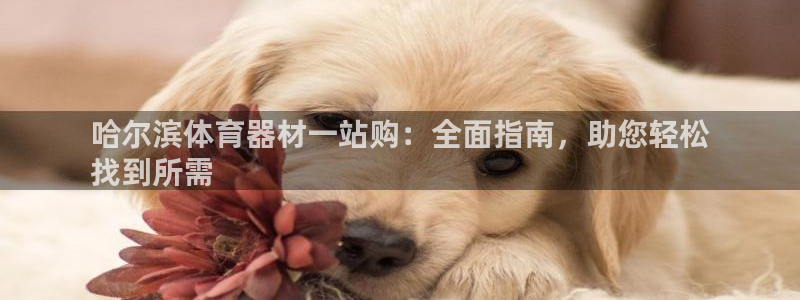 耀世平台告7O777：哈尔滨体育器材一站购：全面指南