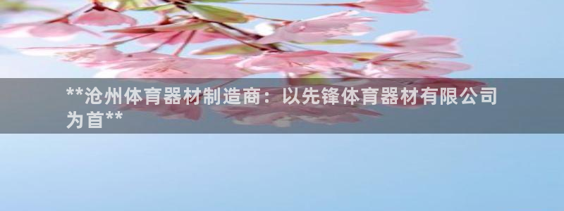 耀世娱乐代理什么待遇：**沧州体育器材制造商：以先锋