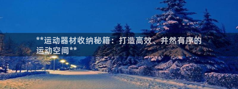 耀世娱乐老板是谁：**运动器材收纳秘籍：打造高效、井