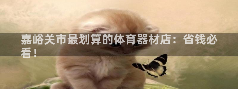 耀世团长：嘉峪关市最划算的体育器材店：省钱必
看！