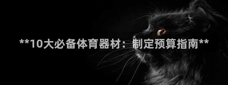 耀世娱乐出款快吗知乎：**10大必备体育器材：制定预