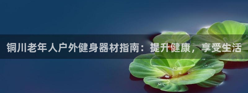 耀世娱乐脚本不死挂机能玩吗：铜川老年人户外健身器材指