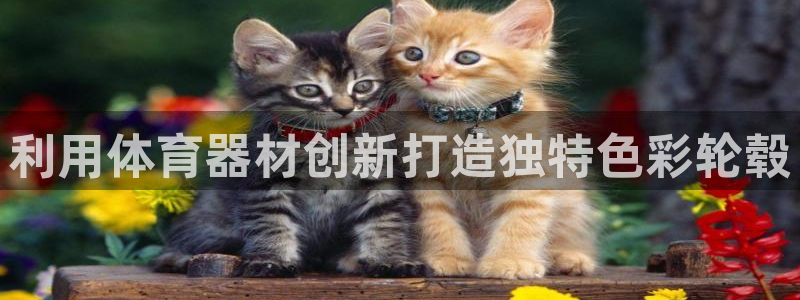 耀世盛典手游下载：利用体育器材创新打造独特色彩轮毂