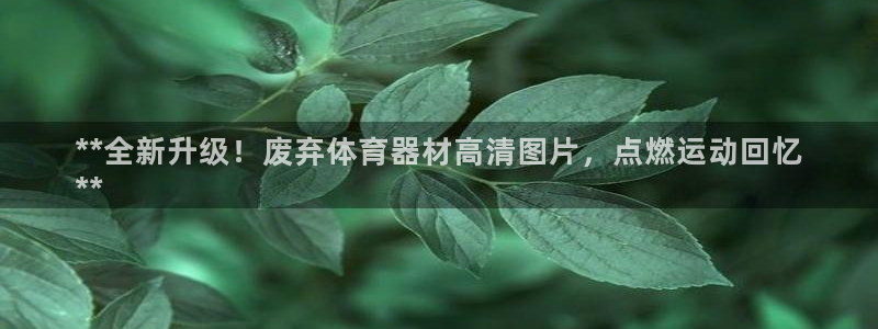 耀世娱乐下载链接安装不了：**全新升级！废弃体育器材