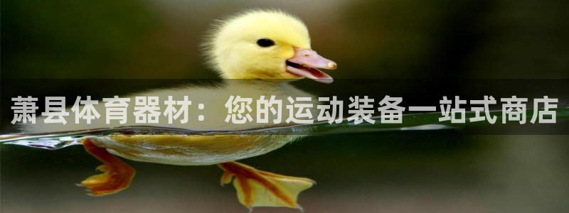 耀世娱乐是玛雅旗下的吗：萧县体育器材：您的运动装备一