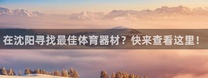 耀世天下的图片：在沈阳寻找最佳体育器材？快来查看这里