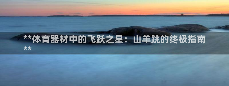 耀世平台乙六七五一38：**体育器材中的飞跃之星：山