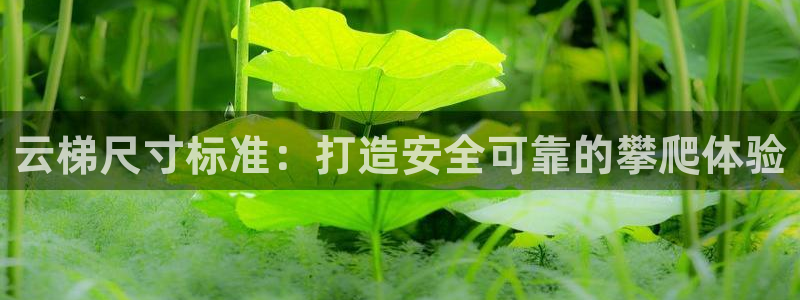 耀世天下网名好吗：云梯尺寸标准：打造安全可靠的攀爬体验