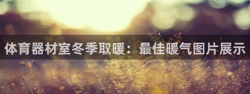 耀世而出：体育器材室冬季取暖：最佳暖气图片展示