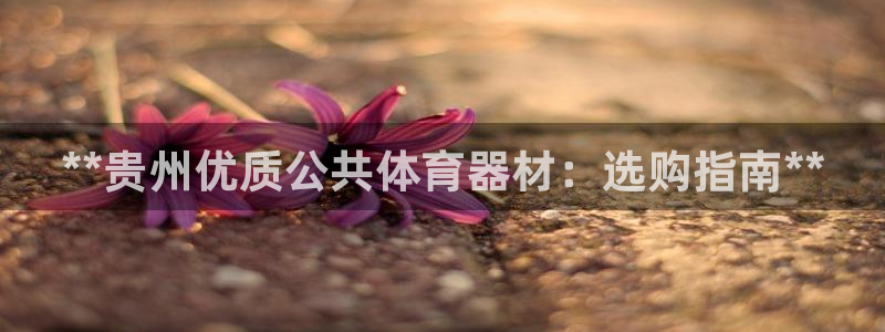 耀世汽车：**贵州优质公共体育器材：选购指南**