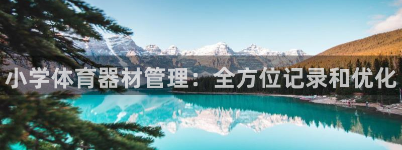 耀世娱乐官方网站登录：小学体育器材管理：全方位记录和