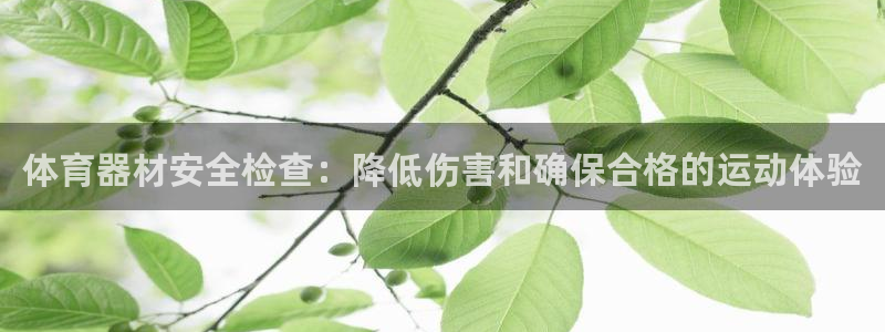 耀世娱乐挂机脚本下载：体育器材安全检查：降低伤害和确